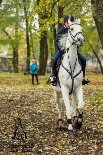 Hubertus 2017 10 2017 D810-21