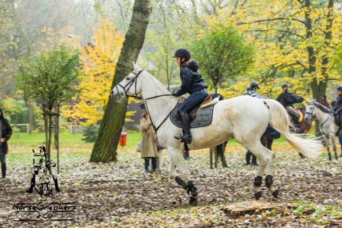 Hubertus 2017 10 2017 D810-25